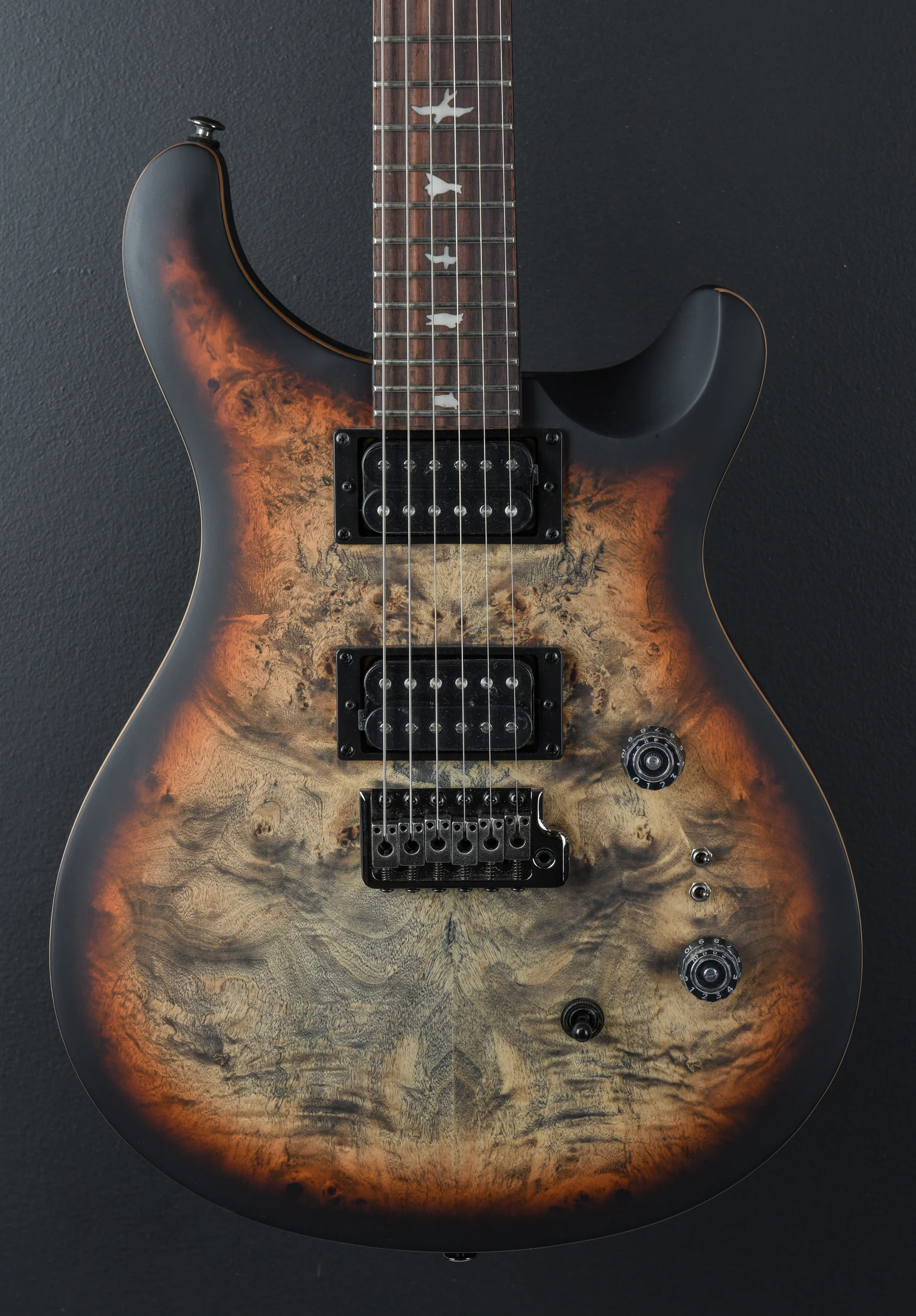 SE Custom 24-08 Poplar Burl Limited Edition '24 - Image 2