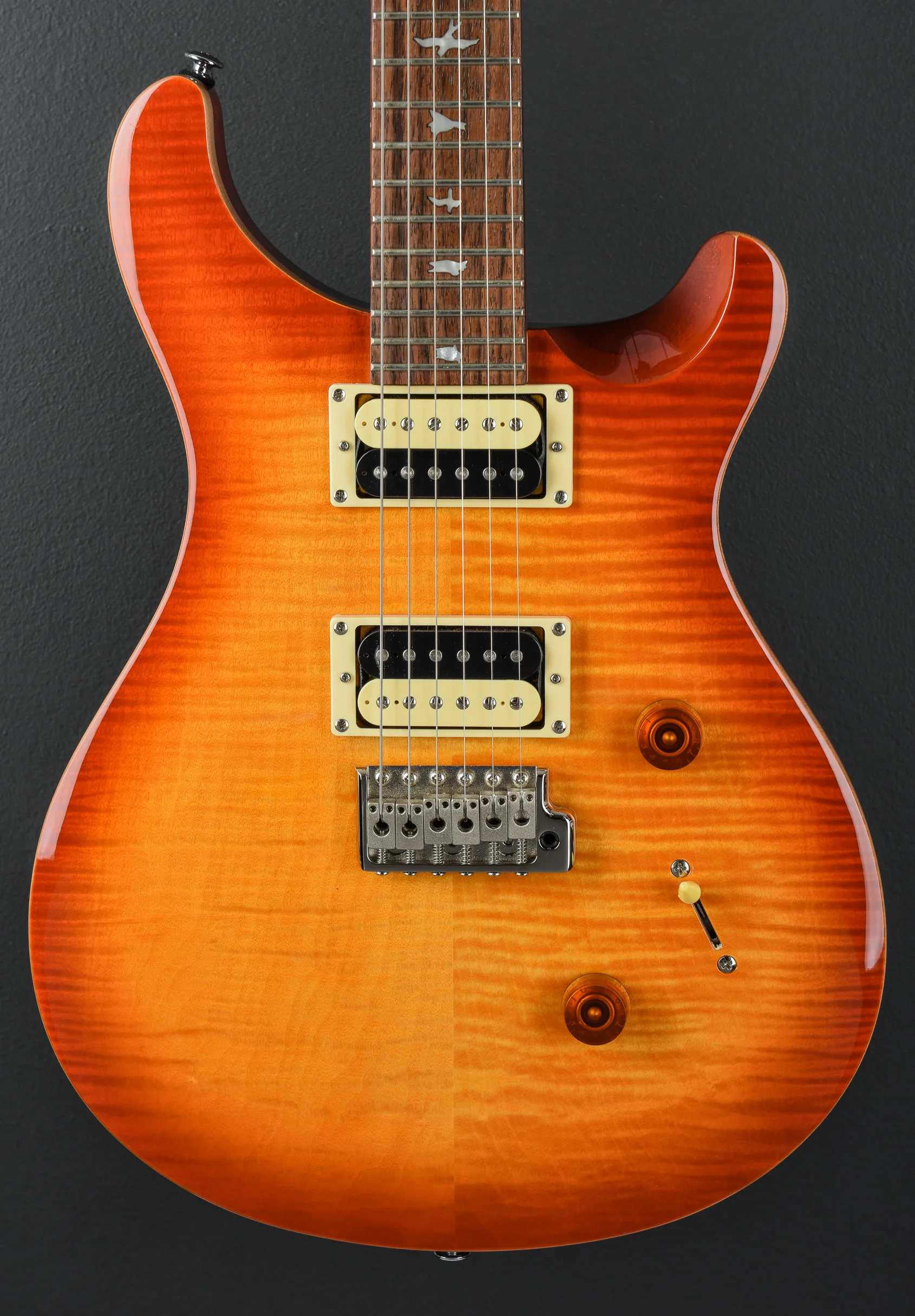SE Custom 24 '19 - Image 2