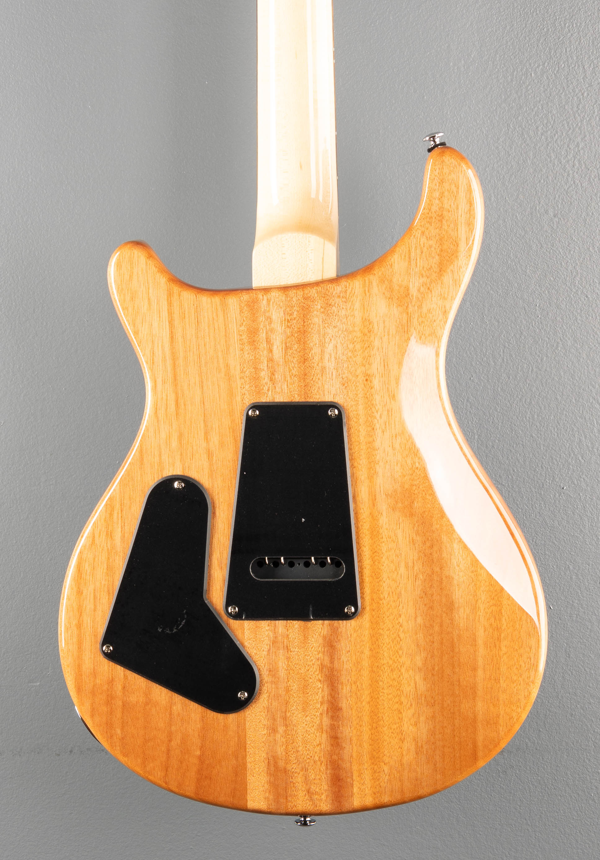 SE Custom 24 '21 - Image 4