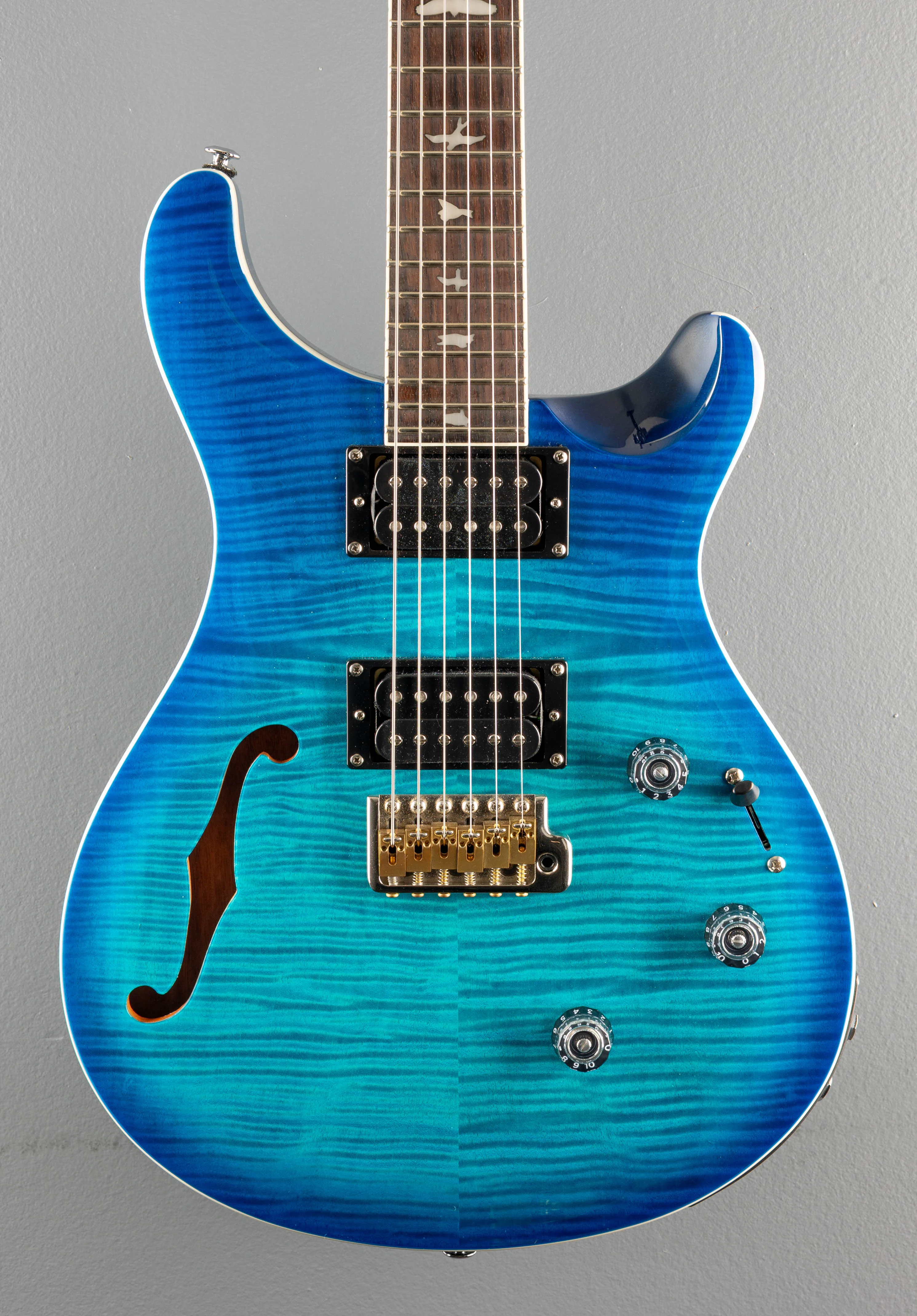 SE Custom 24 Semi Hollow Piezo, '25 - Image 2