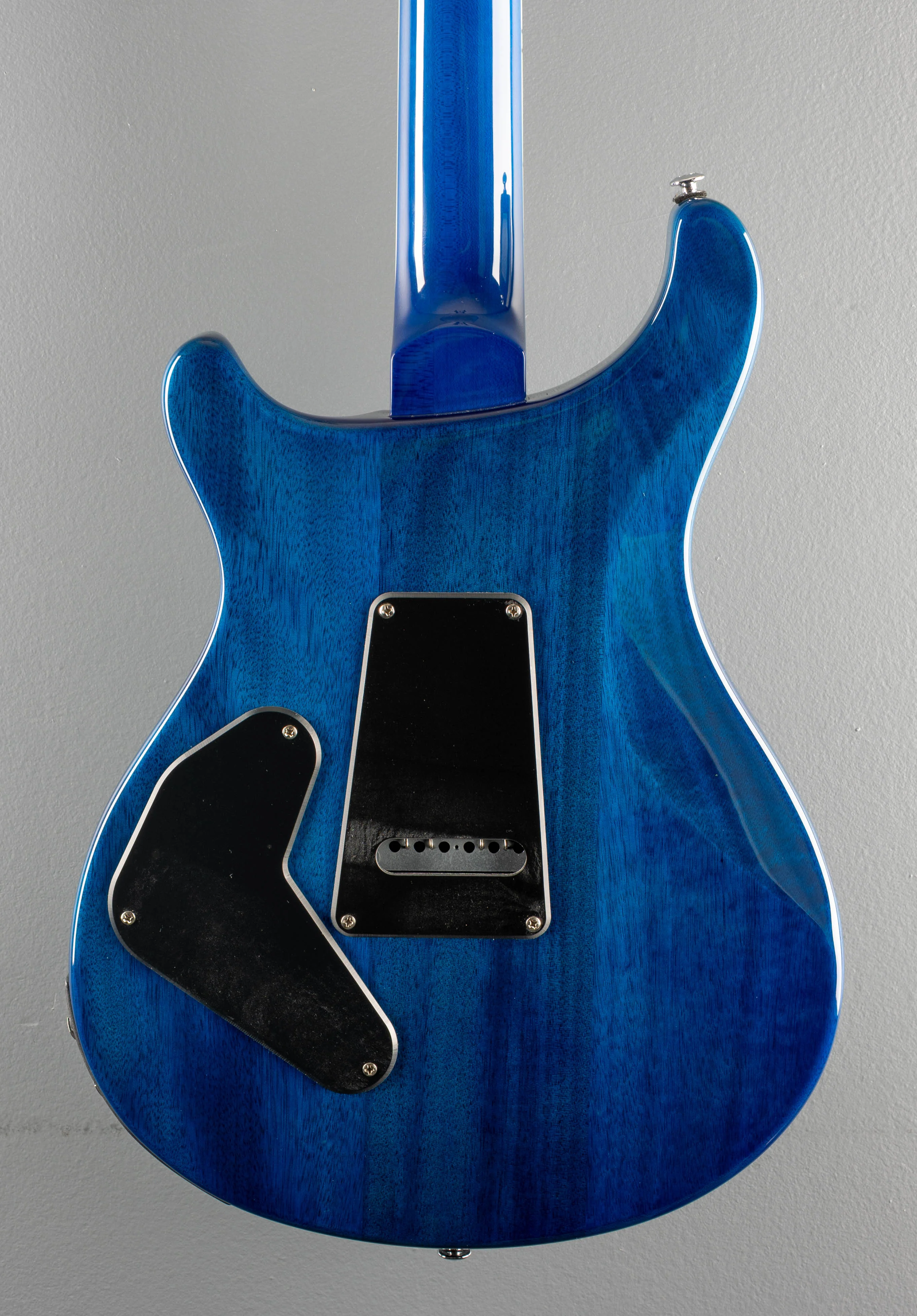 SE Custom 24 Semi Hollow Piezo, '25 - Image 4