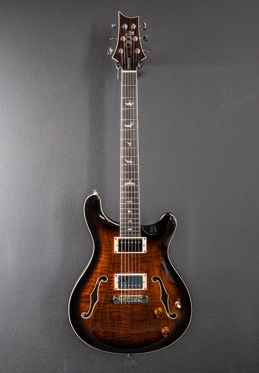 SE Hollowbody II '23 - Image 3