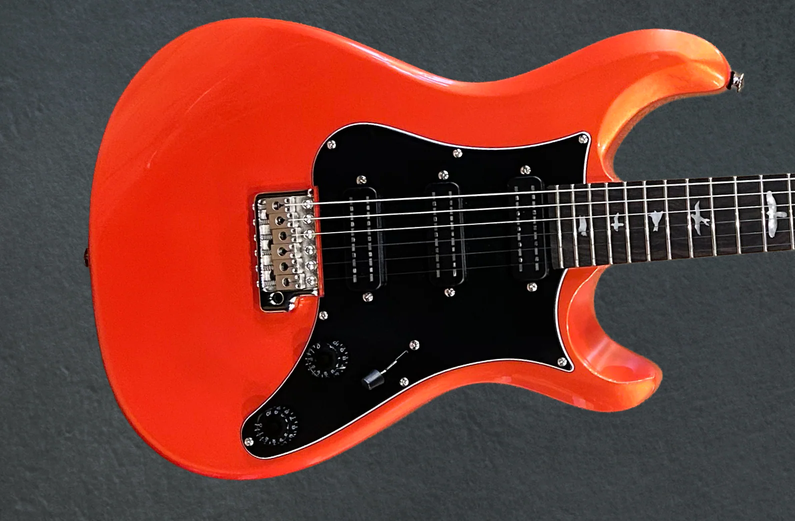 SE NF3 w/Rosewood '24