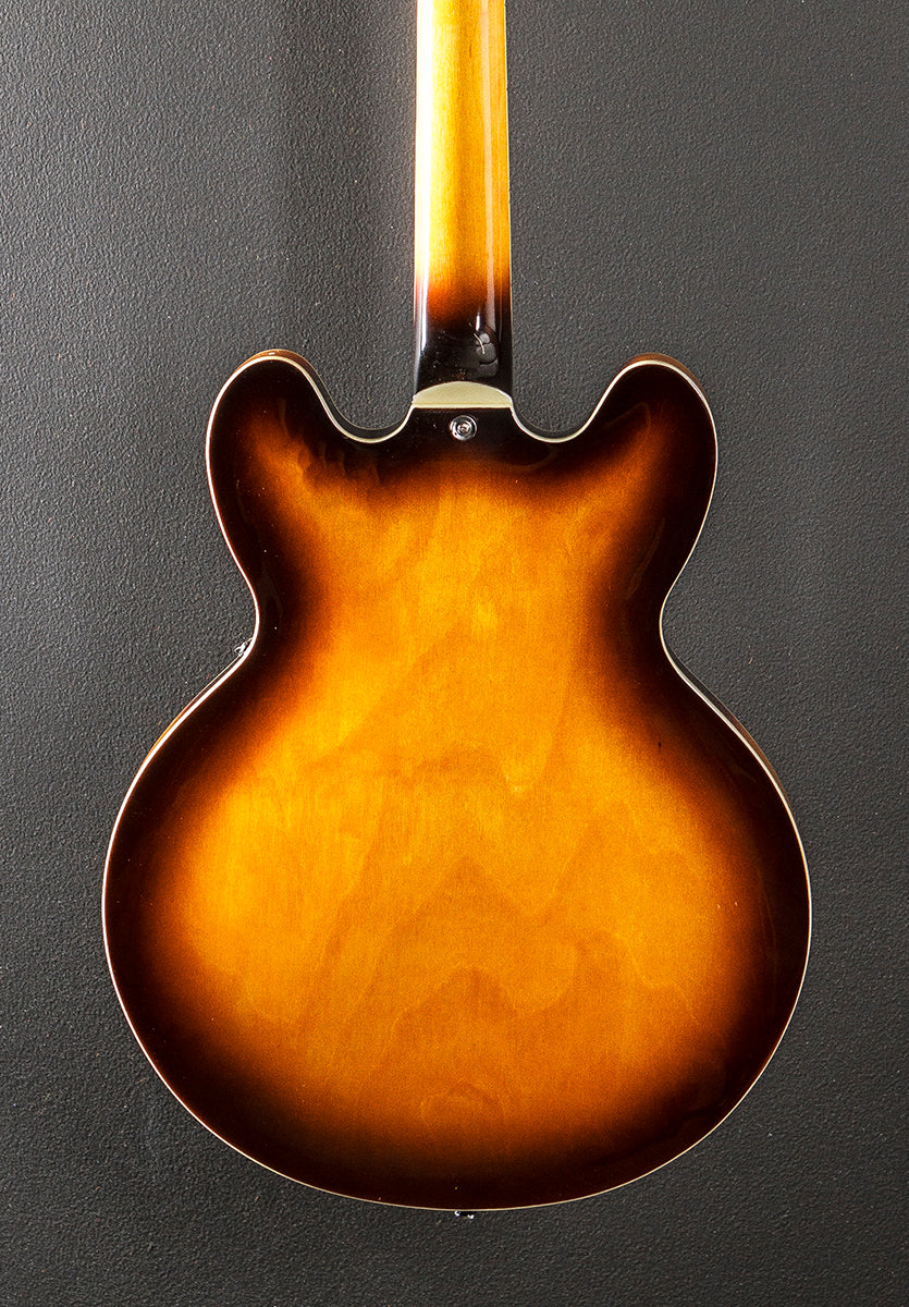 Semi-Hollow, Recent - Image 4
