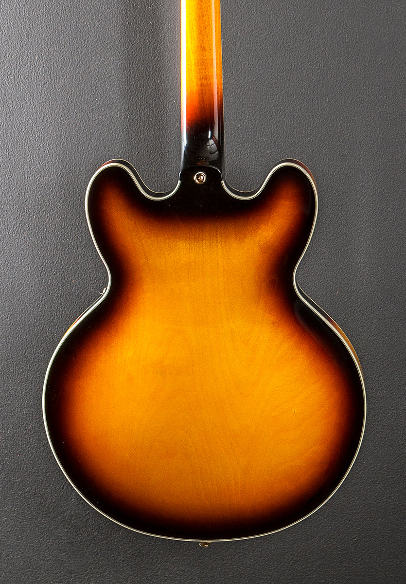 Sheraton - Vintage Sunburst - Image 4