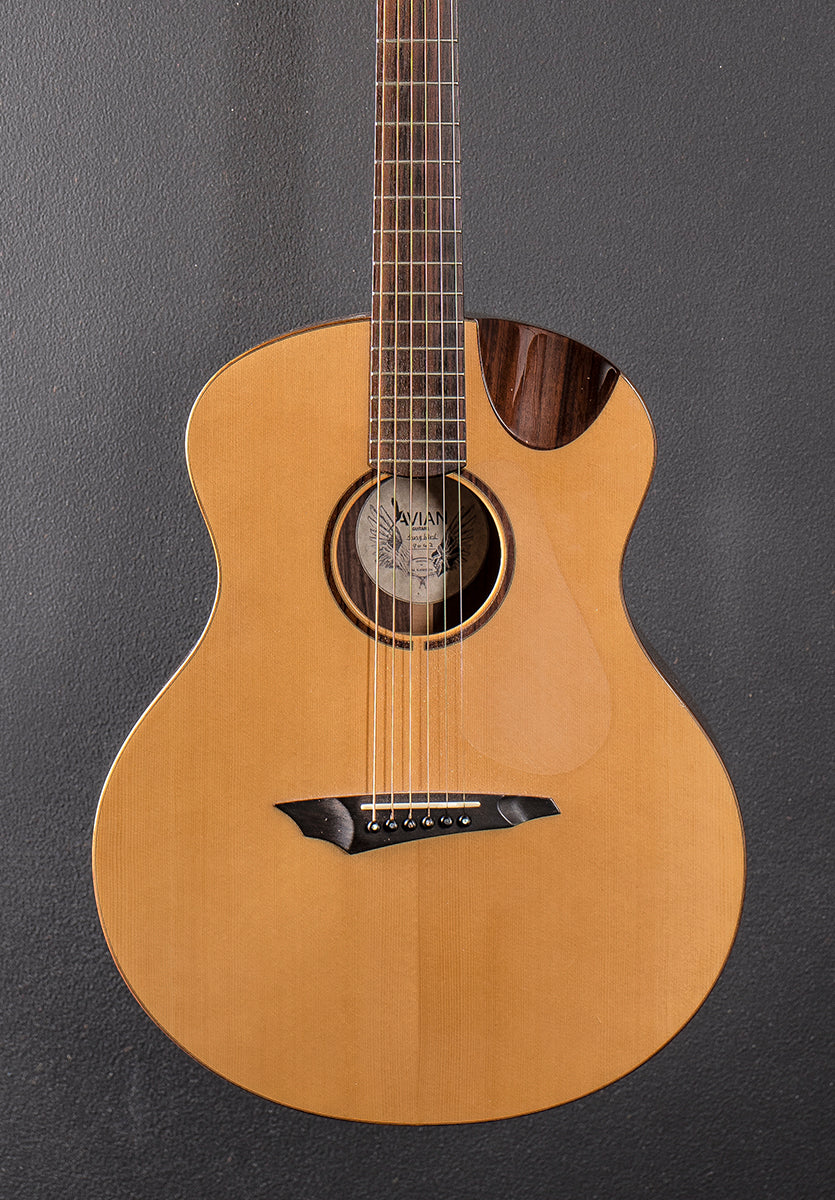 Songbird, Recent - Image 2