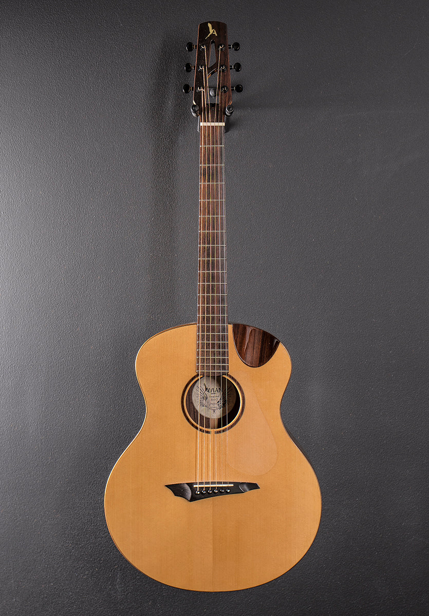 Songbird, Recent - Image 3