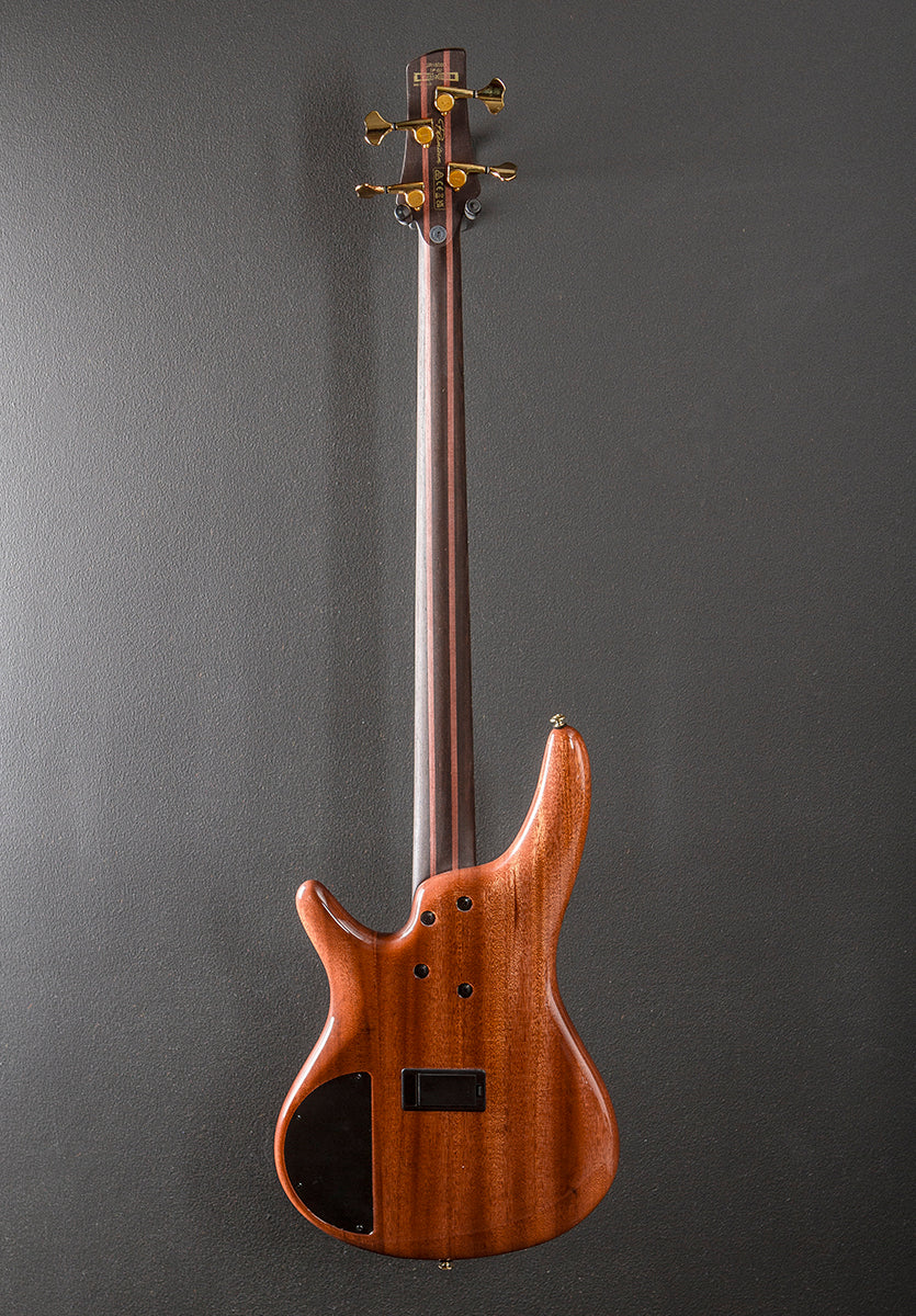SR1600D Bass - Autumn Sunset Sky - Image 5