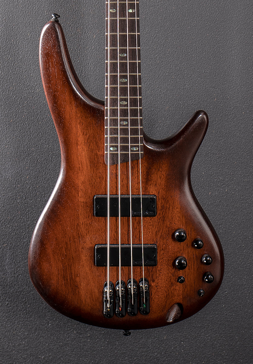 SR500A Bass - Mahogany Brown Burst Low Gloss - Image 2