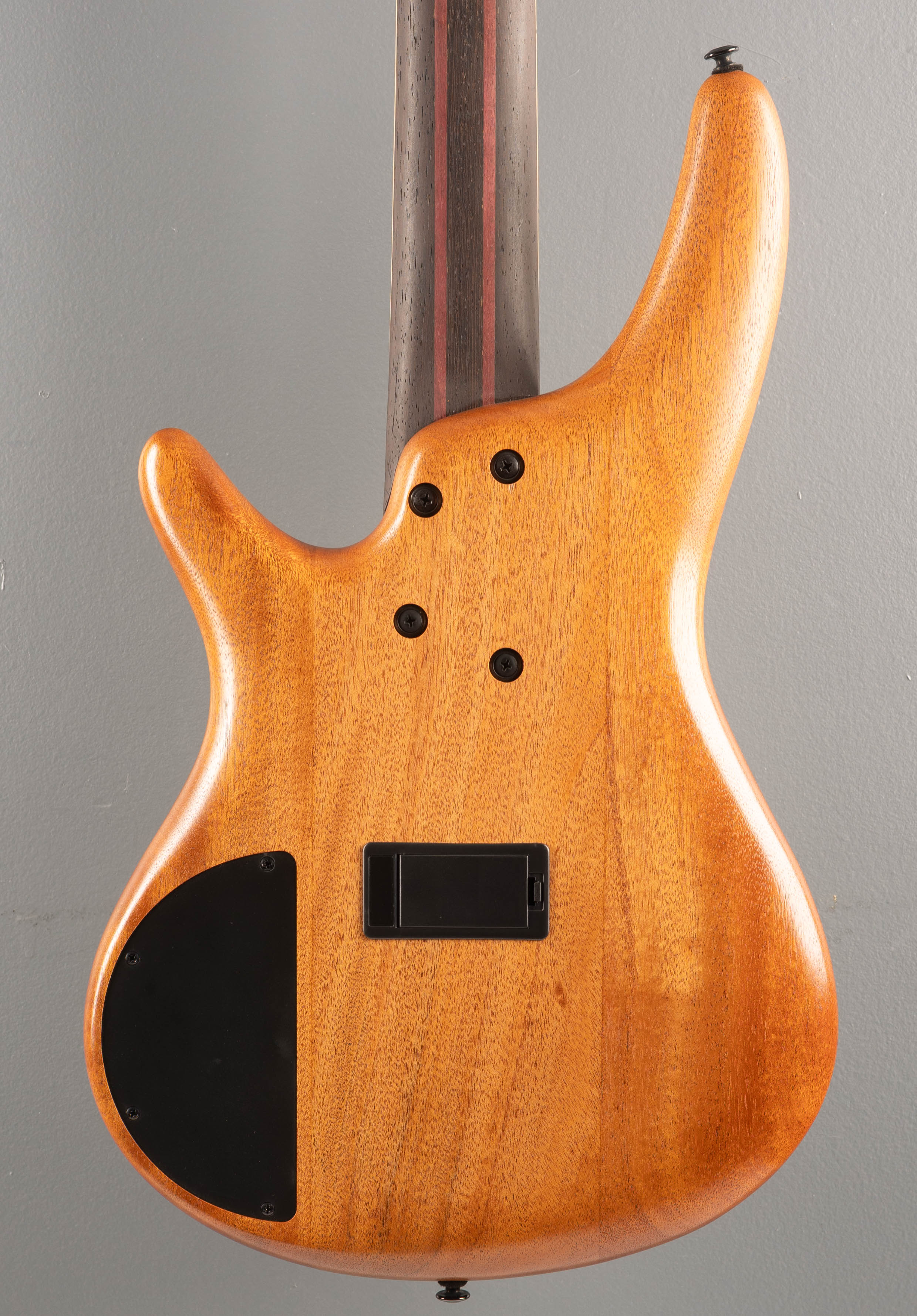 SR5FMDX2 Bass - Natural Low Gloss - Image 4