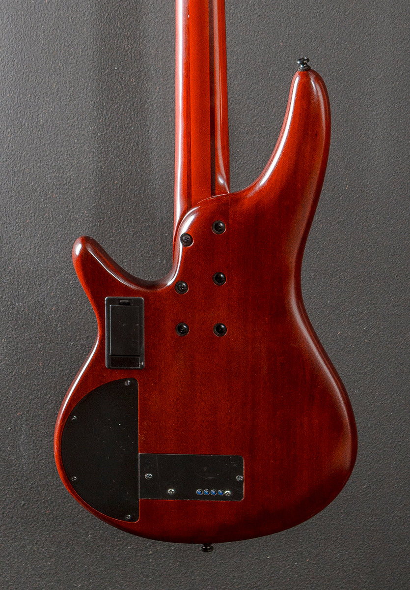 SRD900F Fretless Bass - Brown Topaz Burst Low Gloss - Image 4