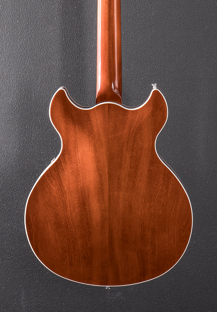 Standard Series Comet - Sunburst - Image 4