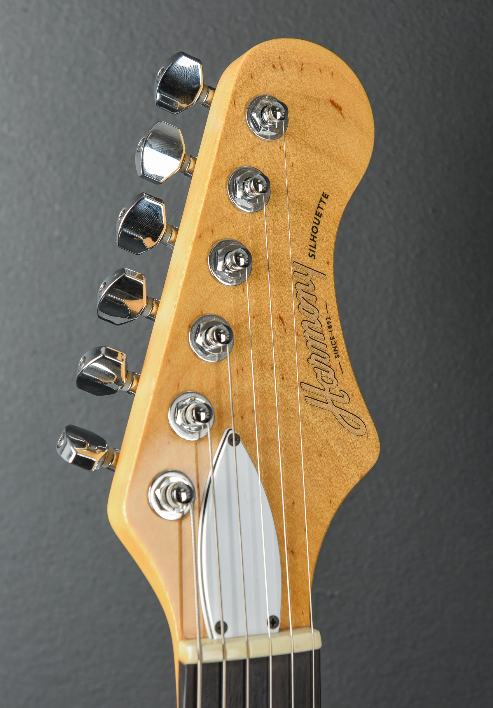 Standard Series Silhouette '19 - Image 10