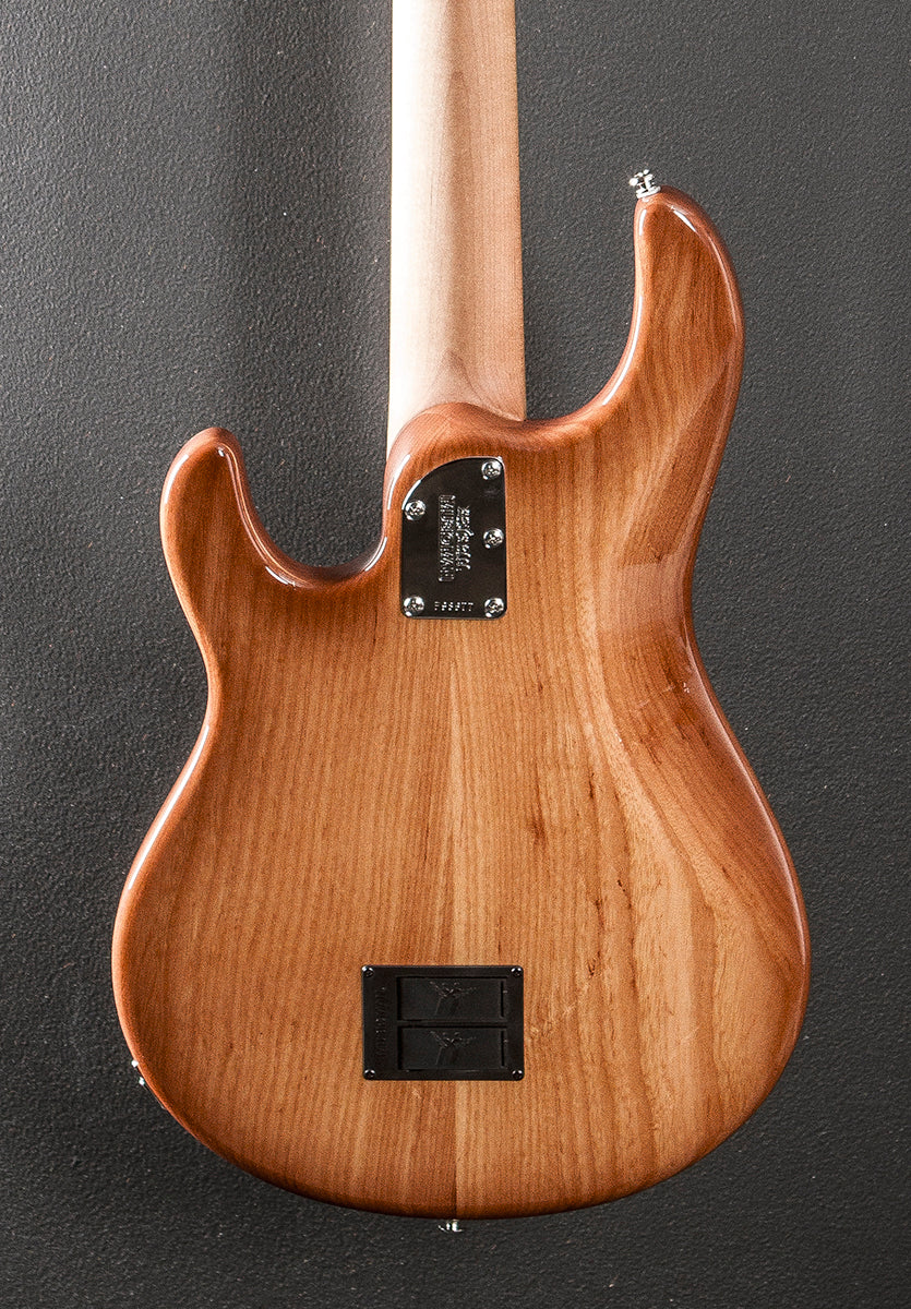 StingRay Special 5 HH Bass - Hot Honey - Image 4