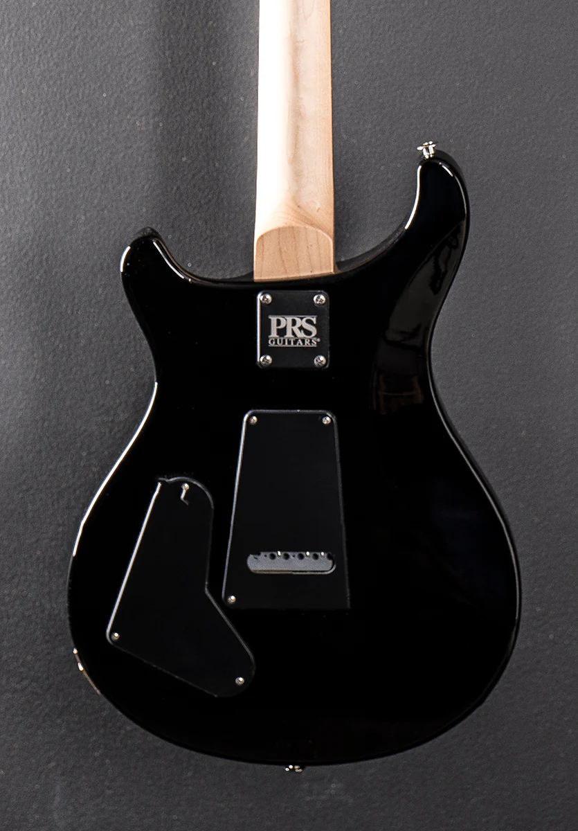 Swamp Ash Special - Black Doghair Smokeburst - Image 4