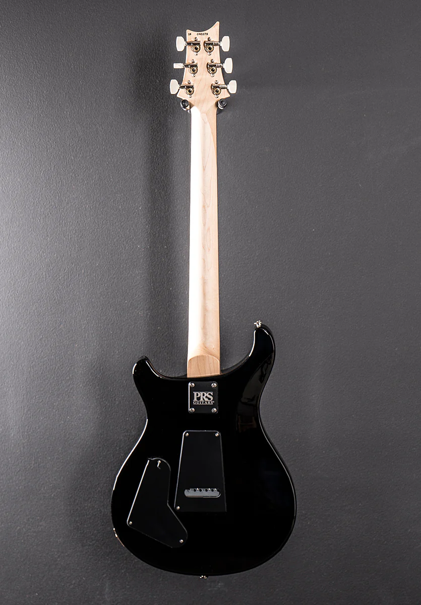 Swamp Ash Special - Black Doghair Smokeburst - Image 5