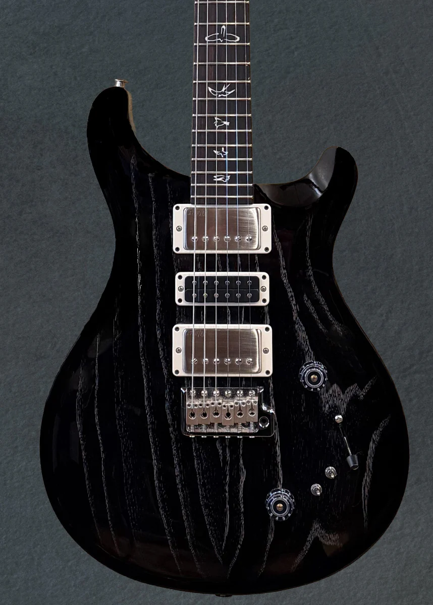 Swamp Ash Special - Black Doghair - Image 2