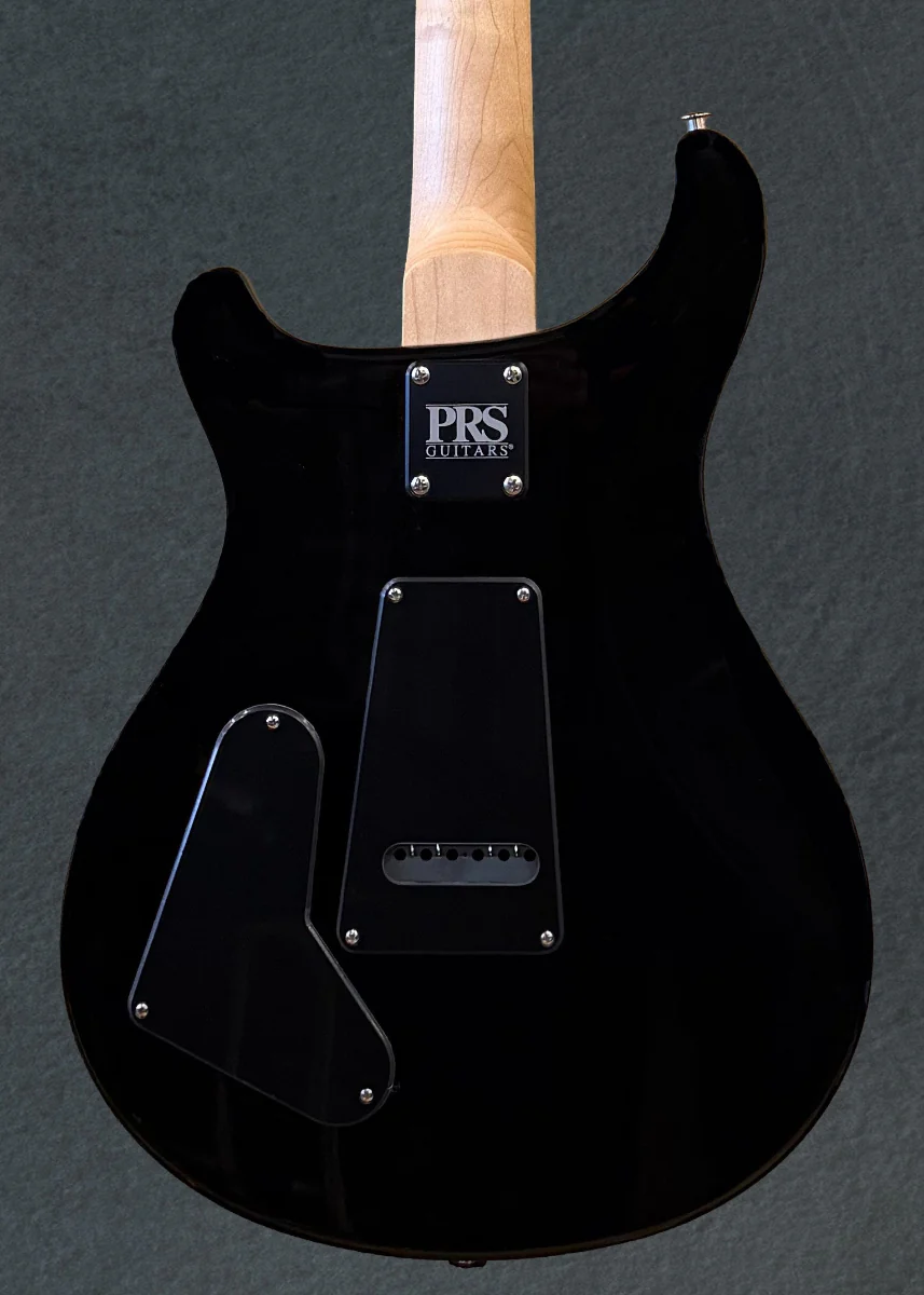 Swamp Ash Special - Black Doghair - Image 4