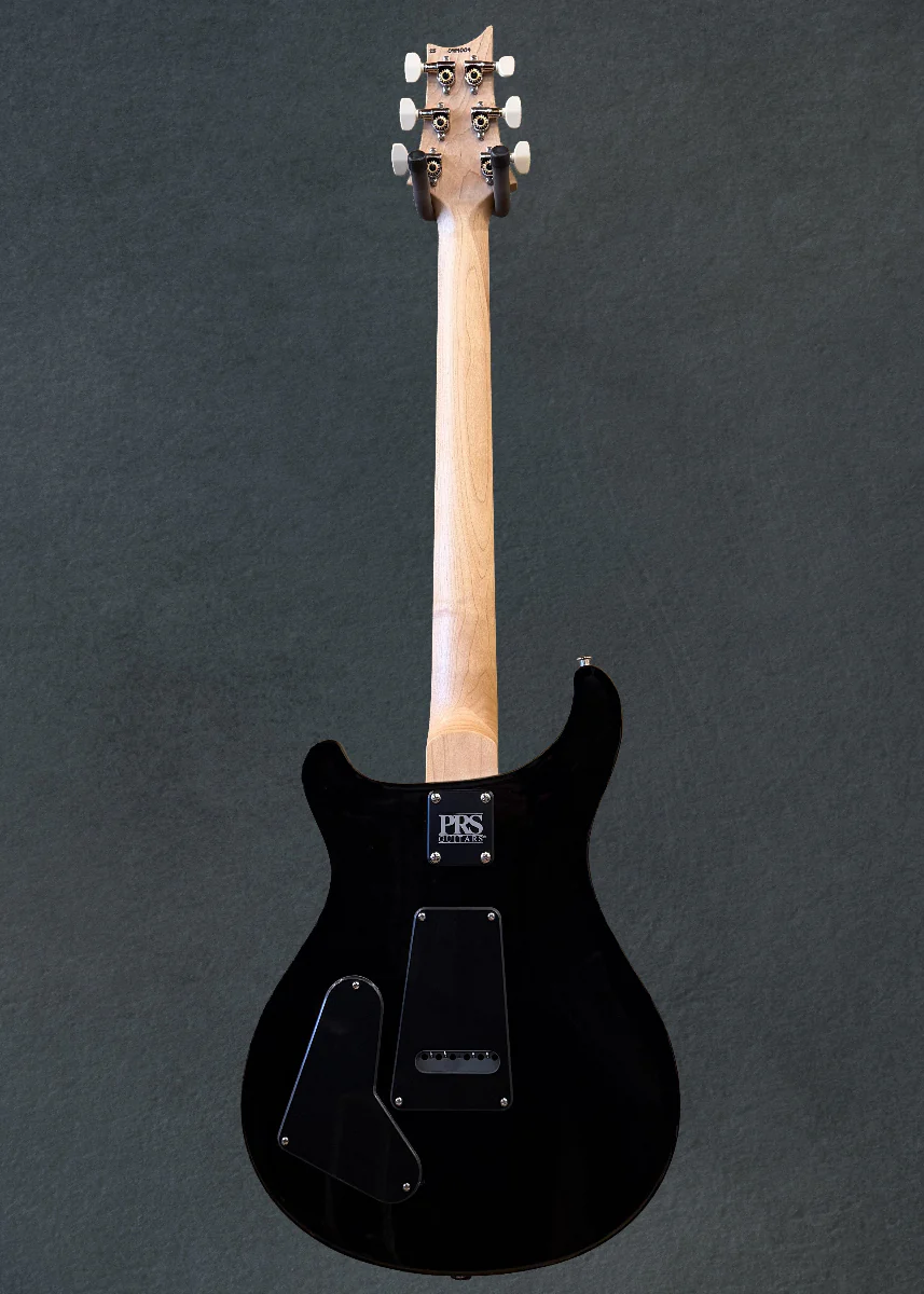 Swamp Ash Special - Black Doghair - Image 5