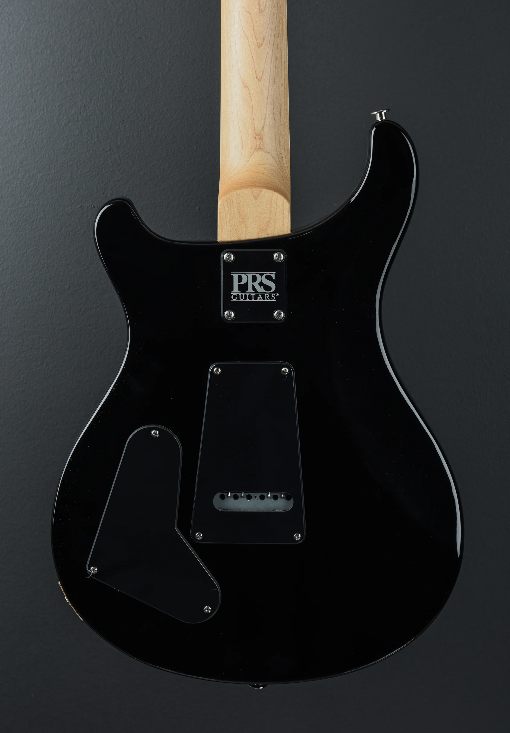 Swamp Ash Special - Black Doghair Smokeburst - Image 5