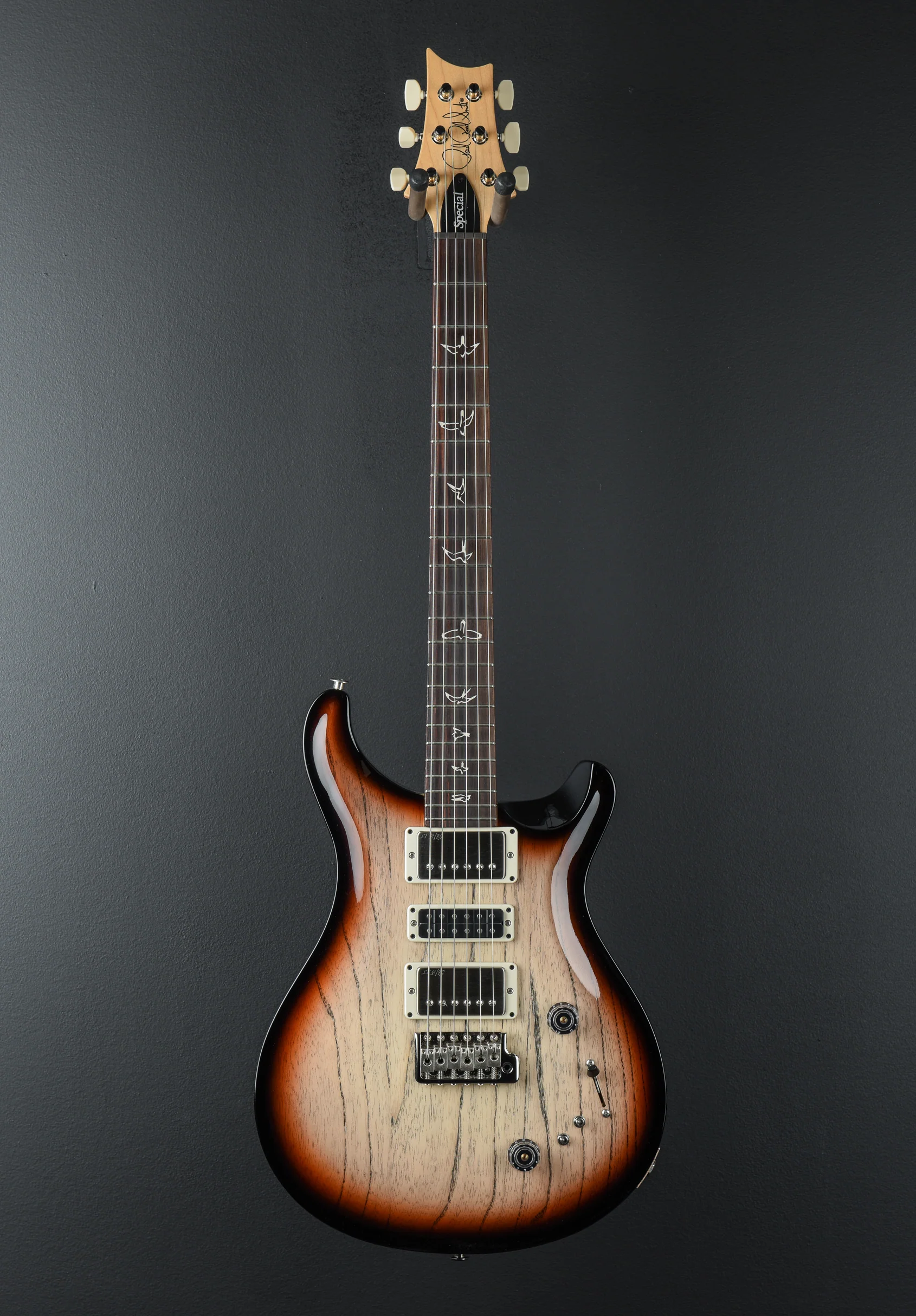 Swamp Ash Special - Jasper Smokeburst - Image 3