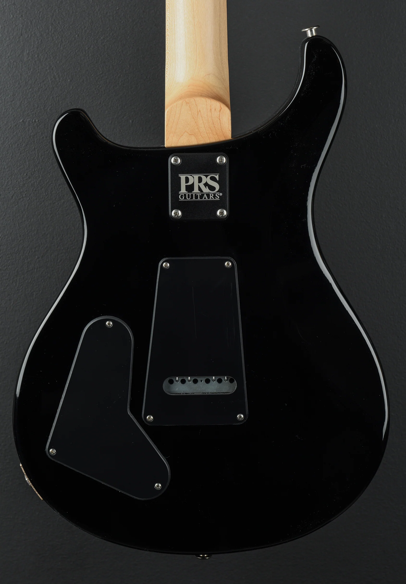 Swamp Ash Special - Jasper Smokeburst - Image 4