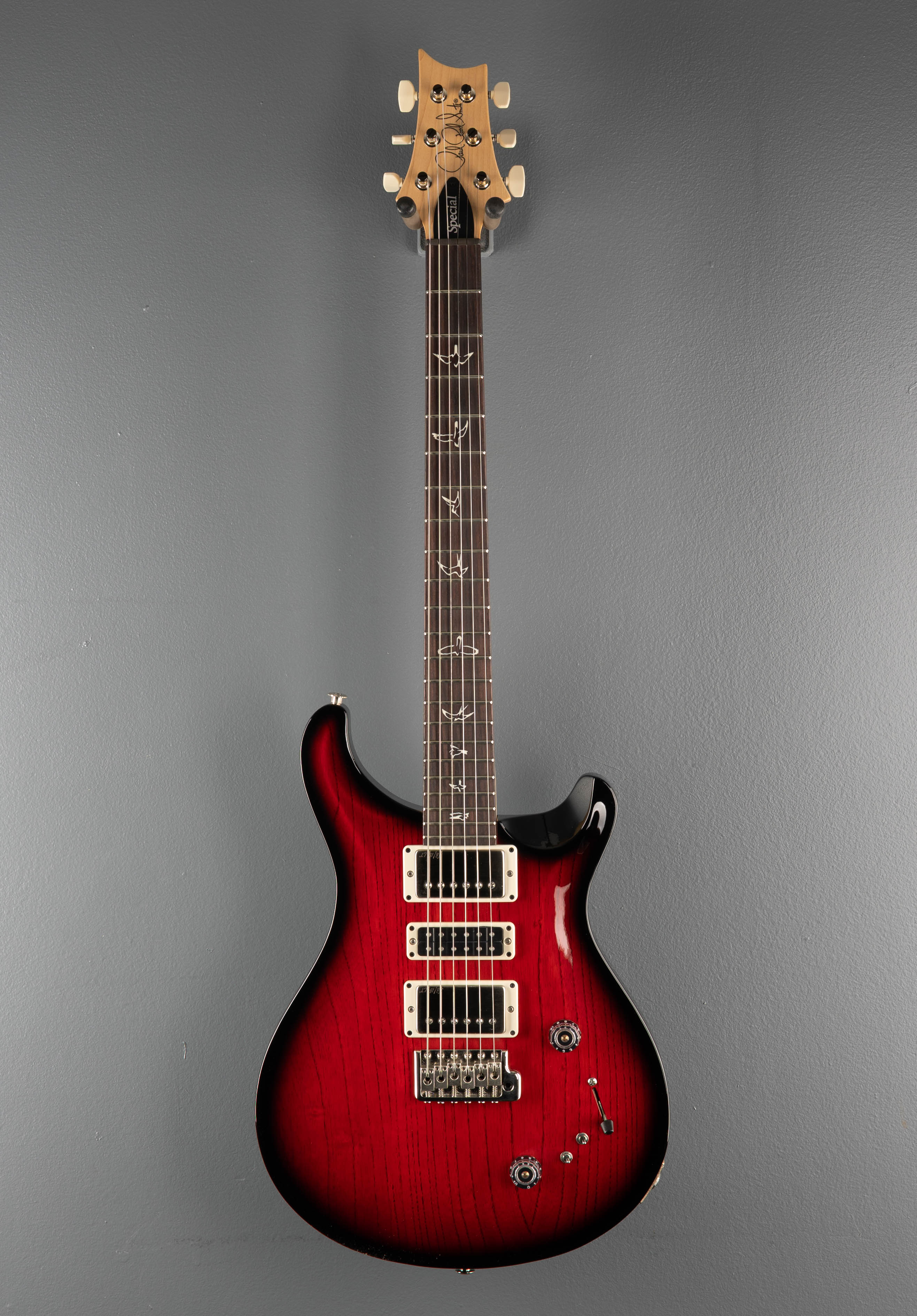 Swamp Ash Special - Larkspur - Image 3