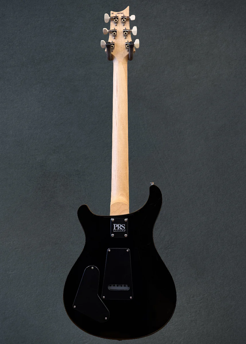 Swamp Ash Special - Larkspur - Image 5