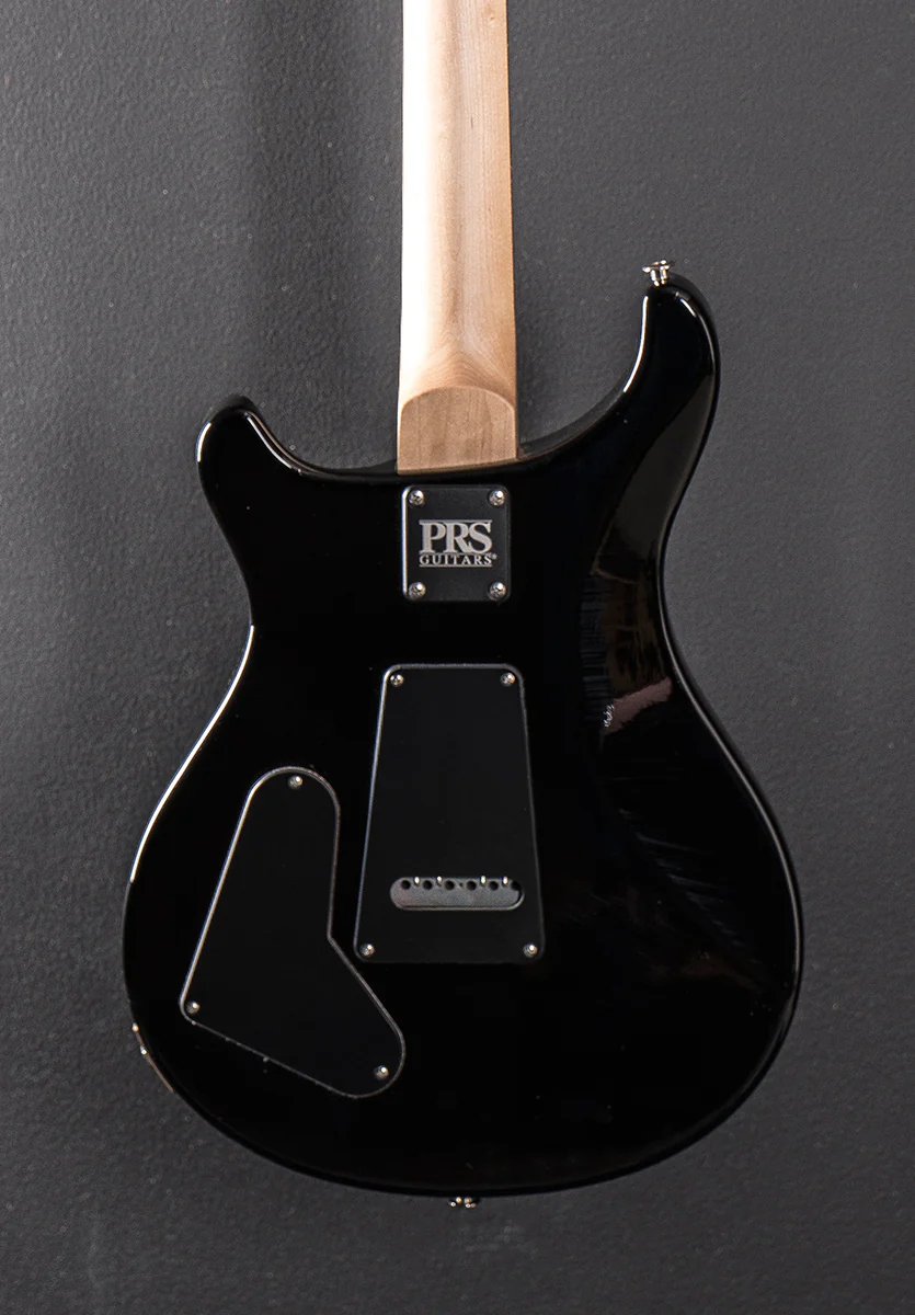 Swamp Ash Special - White Doghair Smokeburst - Image 4