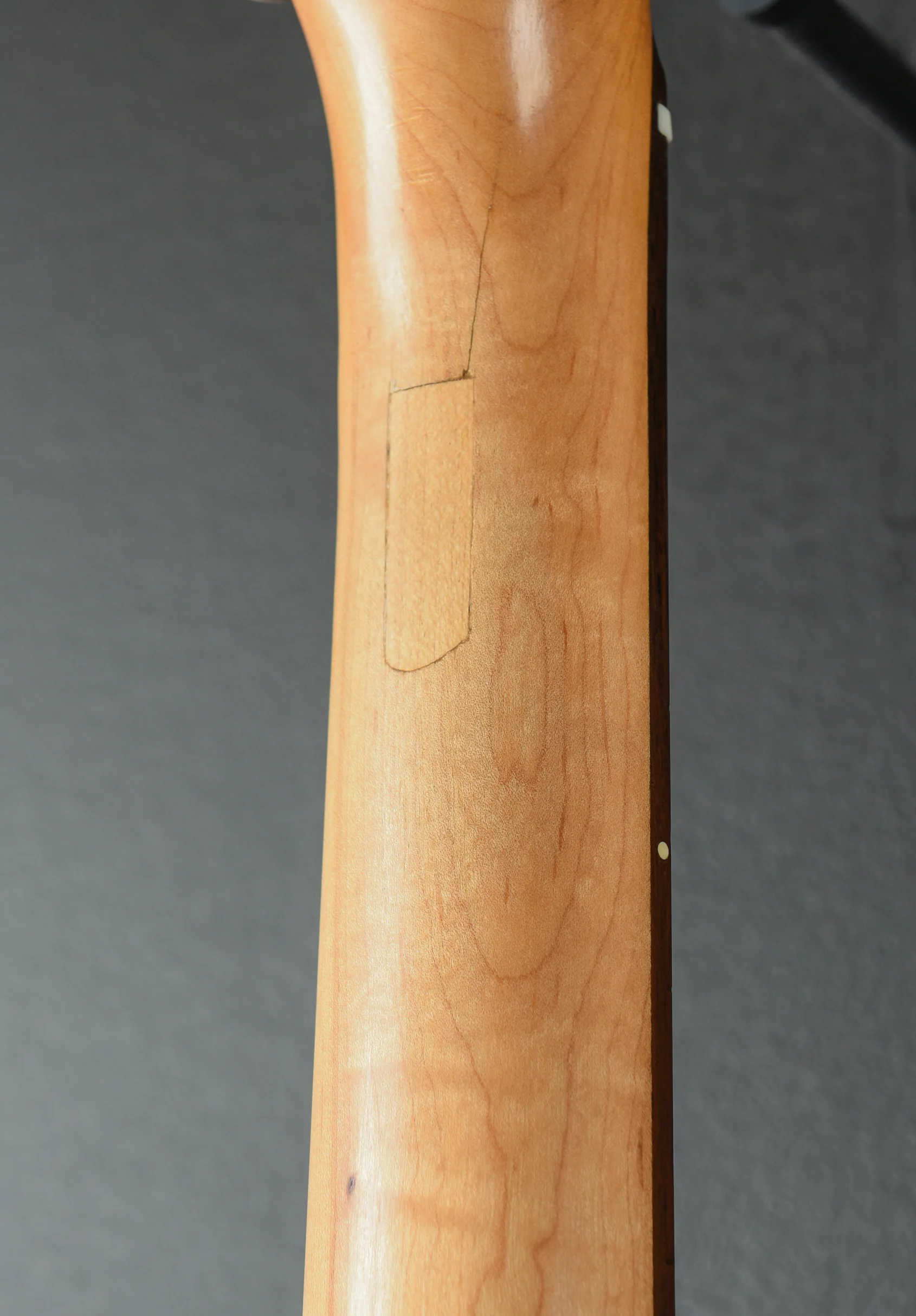 T-Style Parts Guitar, Recent - Image 6