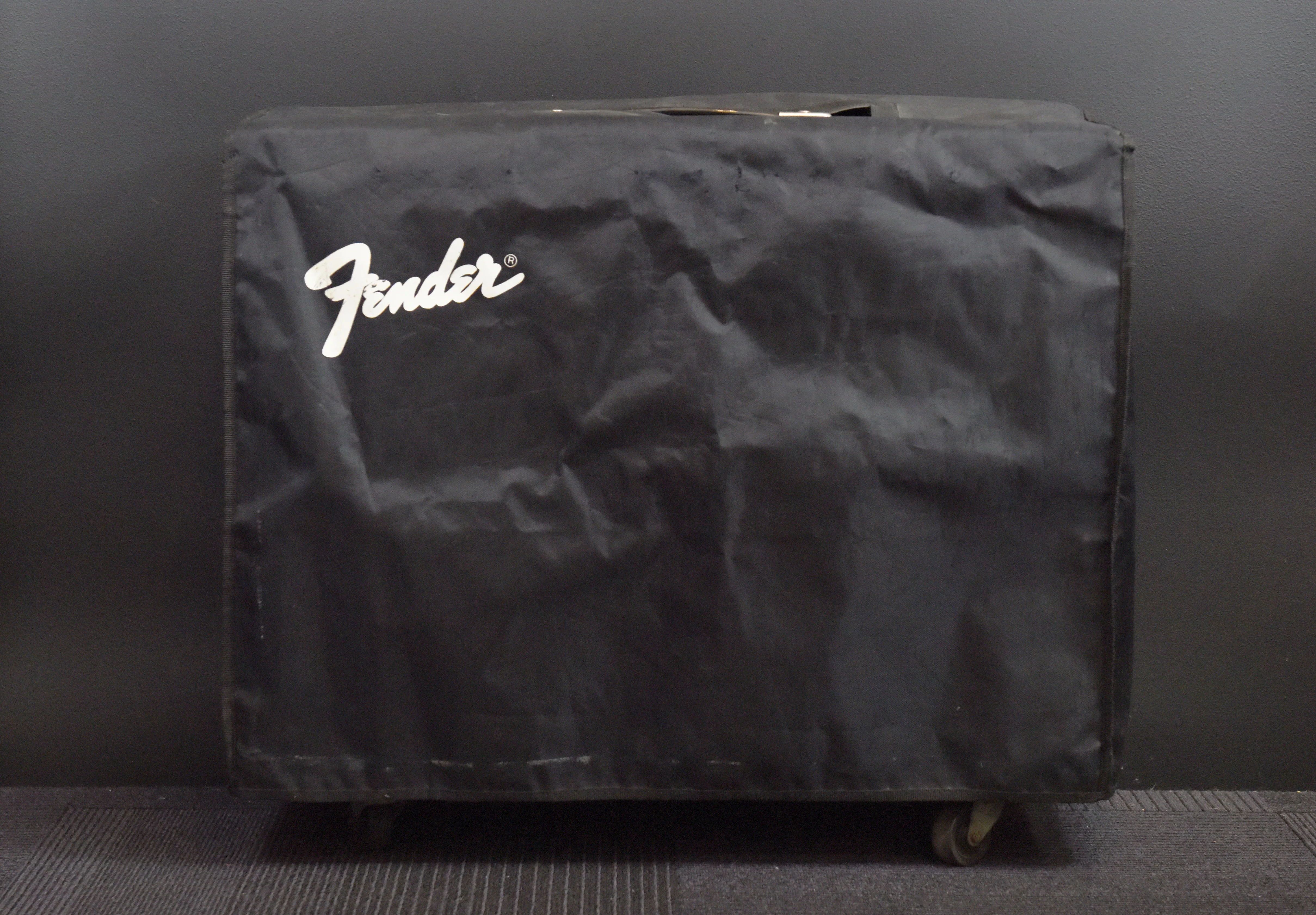 USED '65 Reissue Twin Reverb, Recent - Image 3