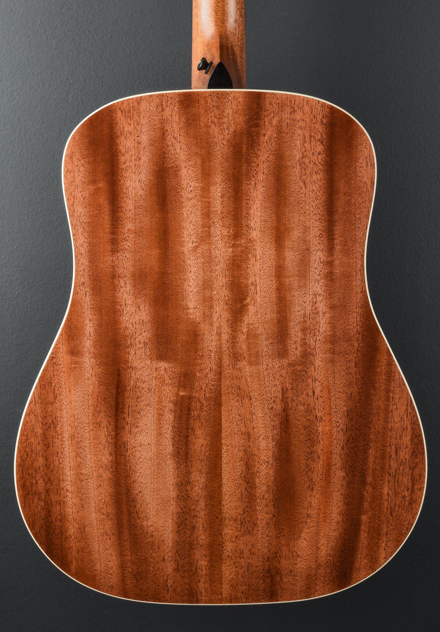 USED Gold Label 510e '26 - Image 4