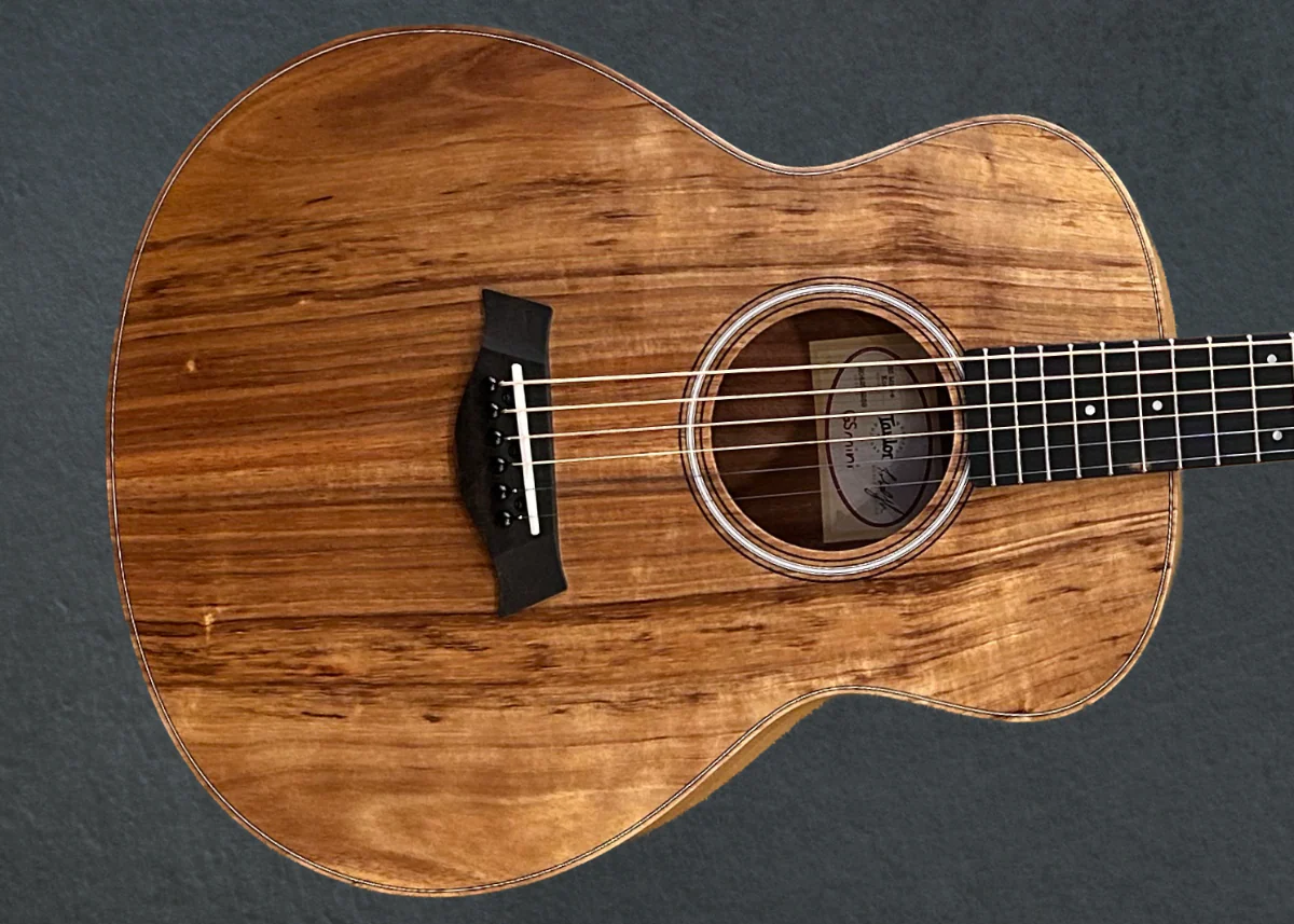 USED GS Mini-E Koa '26