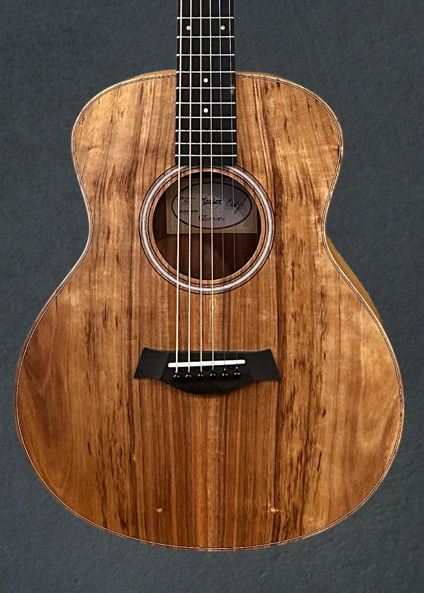 USED GS Mini-E Koa '26 - Image 2
