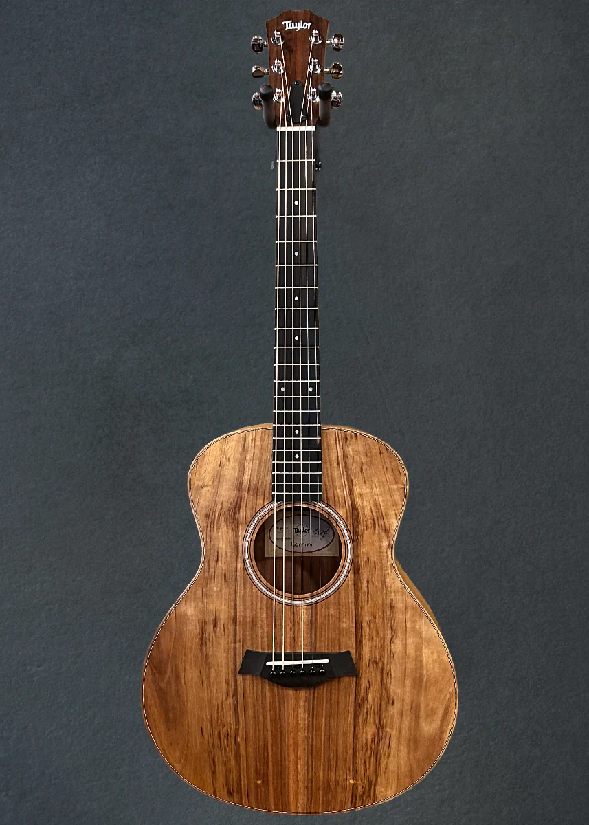 USED GS Mini-E Koa '26 - Image 3