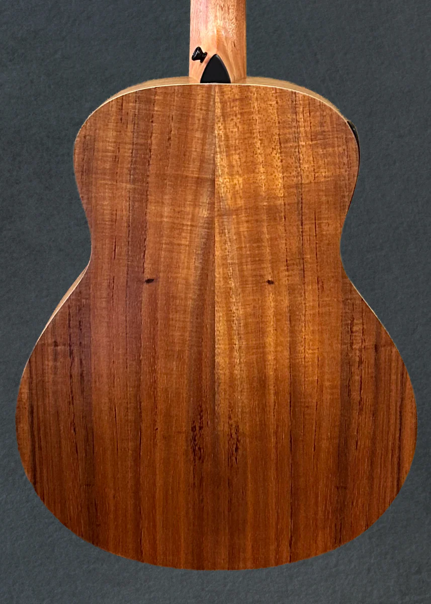 USED GS Mini-E Koa '26 - Image 4