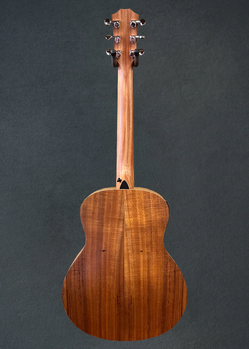 USED GS Mini-E Koa '26 - Image 5
